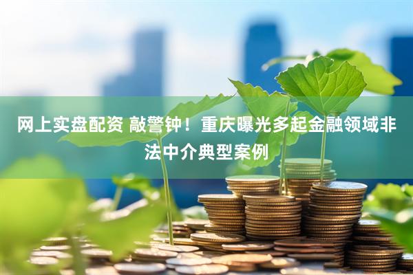 网上实盘配资 敲警钟！重庆曝光多起金融领域非法中介典型案例